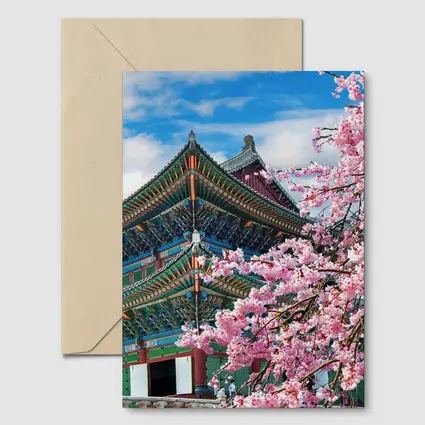 Korean Palace Cherry Blossoms Blue Sky