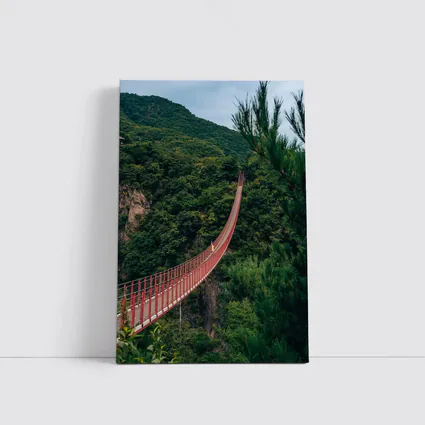 Red Suspension Bridge Green Mountain Forest