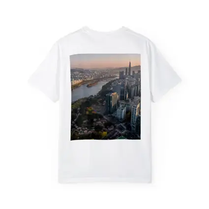 Seoul Skyline Han River Cherry Blossoms Sunset