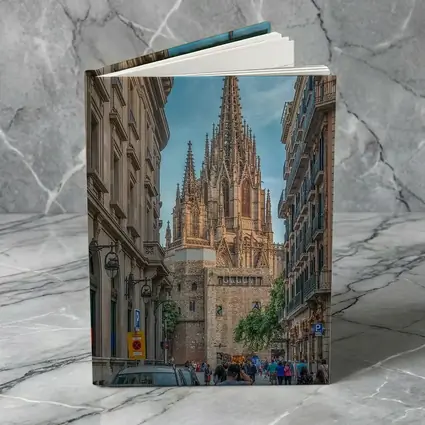 Barcelona Cathedral Gothic Spire Street View