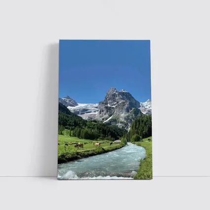 Swiss Alps Mountain Valley River Cows