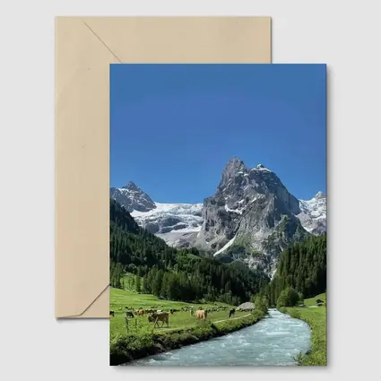 Swiss Alps Mountain Valley River Cows