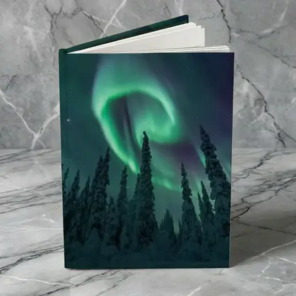 Aurora Borealis Spiral Over Snowy Forest