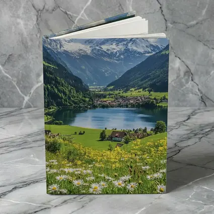 Alpine Lake Village Snow Capped Mountains Daisies