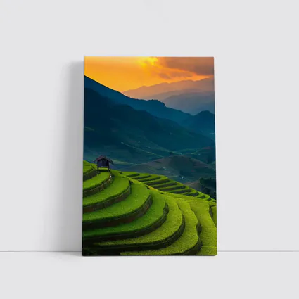 Rice Fields Sunset Mountain Valley Landscape