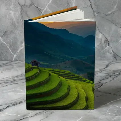 Rice Fields Sunset Mountain Valley Landscape