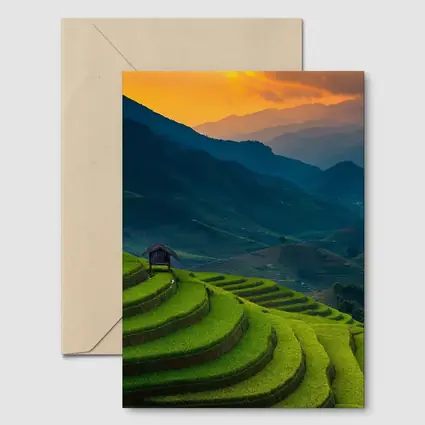 Rice Fields Sunset Mountain Valley Landscape