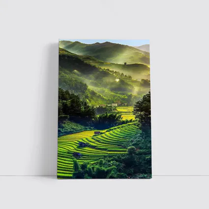 Terraced Rice Fields Green Mountain Valley