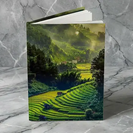 Terraced Rice Fields Green Mountain Valley