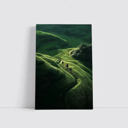 People Walking Through Lush Green Rice Fields