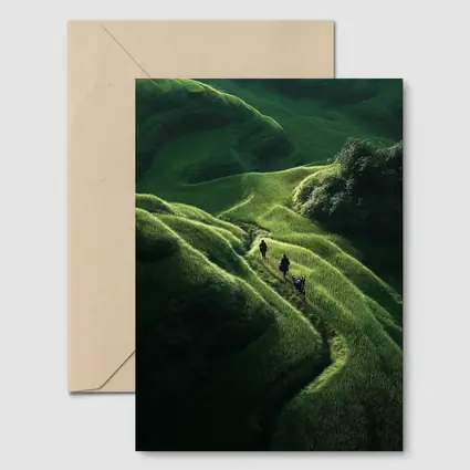 People Walking Through Lush Green Rice Fields