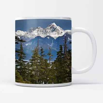Snow Capped Alaska Mountain Peak Spruce Forest