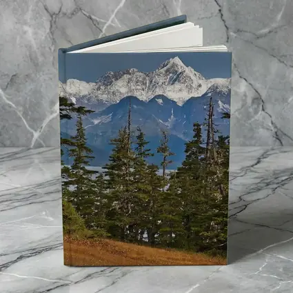 Snow Capped Alaska Mountain Peak Spruce Forest