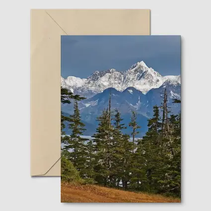 Snow Capped Alaska Mountain Peak Spruce Forest