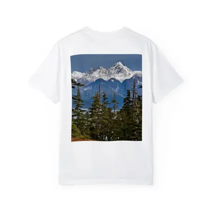 Snow Capped Alaska Mountain Peak Spruce Forest