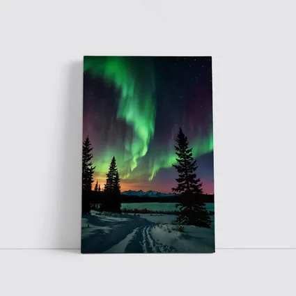 Aurora Borealis Over Snowy Winter Forest