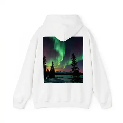Aurora Borealis Over Snowy Winter Forest