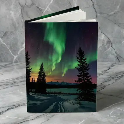 Aurora Borealis Over Snowy Winter Forest