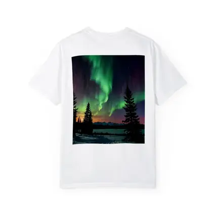 Aurora Borealis Over Snowy Winter Forest