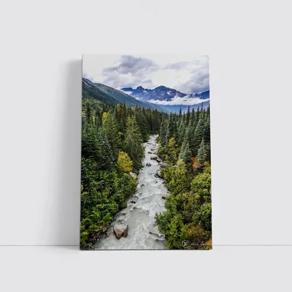 Rocky Mountain River Through Pine Forest