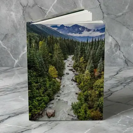 Rocky Mountain River Through Pine Forest