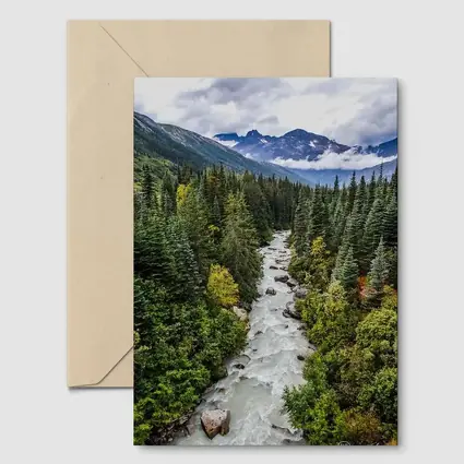 Rocky Mountain River Through Pine Forest