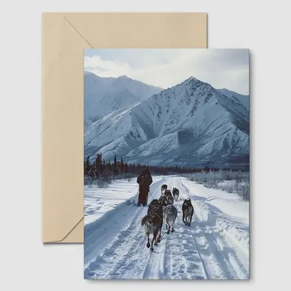 Husky Sled Dog Team Snowy Mountain Trail