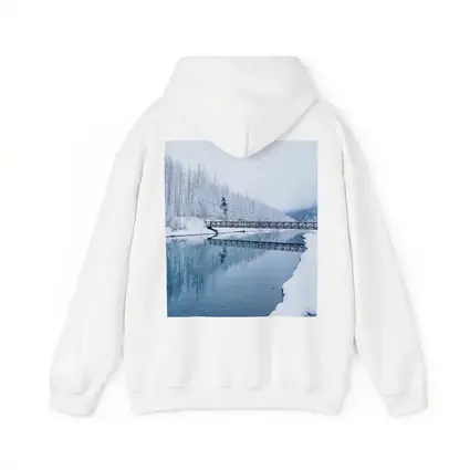 Snowy River Bridge Winter Forest Reflection