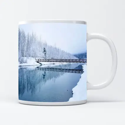 Snowy River Bridge Winter Forest Reflection