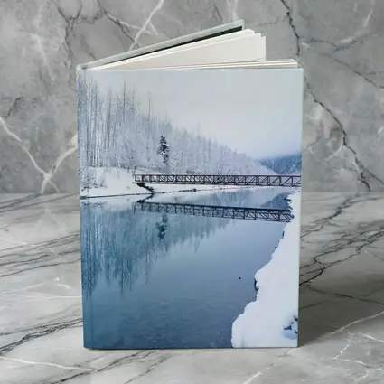 Snowy River Bridge Winter Forest Reflection