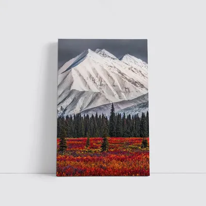 Snow Capped Mountain Autumn Tundra Forest