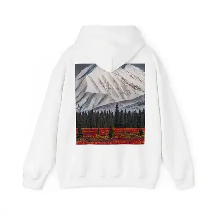 Snow Capped Mountain Autumn Tundra Forest