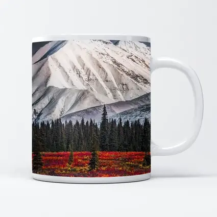 Snow Capped Mountain Autumn Tundra Forest