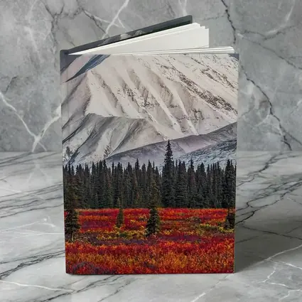 Snow Capped Mountain Autumn Tundra Forest