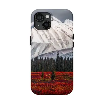 Snow Capped Mountain Autumn Tundra Forest