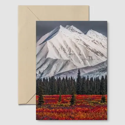 Snow Capped Mountain Autumn Tundra Forest