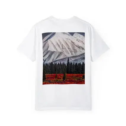 Snow Capped Mountain Autumn Tundra Forest