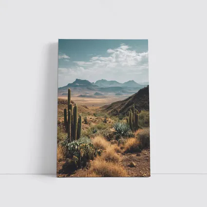 Desert Cactus Landscape With Mountain Views