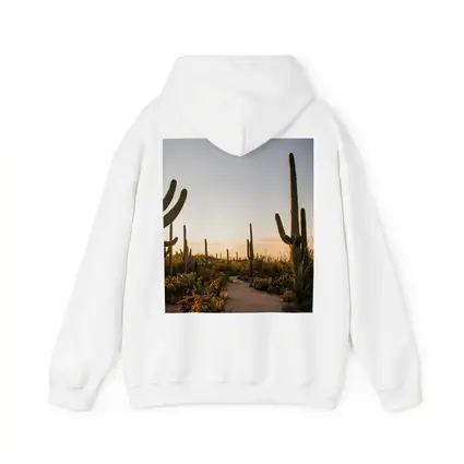 Saguaro Cactus Desert Path Golden Sunset