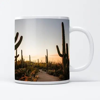 Saguaro Cactus Desert Path Golden Sunset
