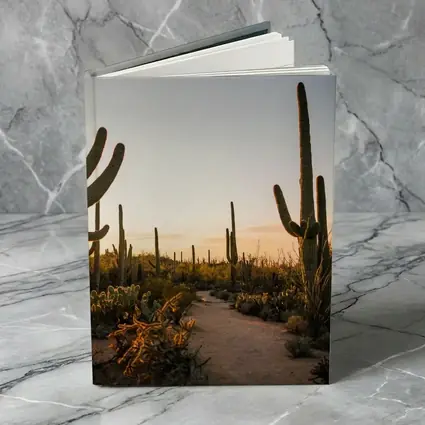 Saguaro Cactus Desert Path Golden Sunset