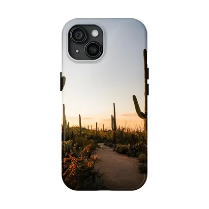 Saguaro Cactus Desert Path Golden Sunset