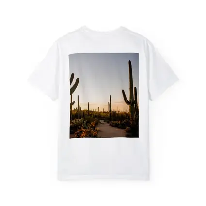 Saguaro Cactus Desert Path Golden Sunset