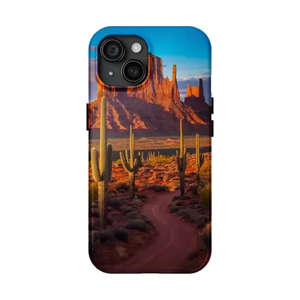 Monument Valley Desert Southwest Cactus Landscape
