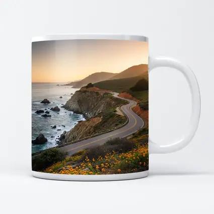 California Coastal Highway Sunset Wildflowers