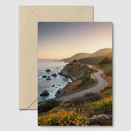 California Coastal Highway Sunset Wildflowers