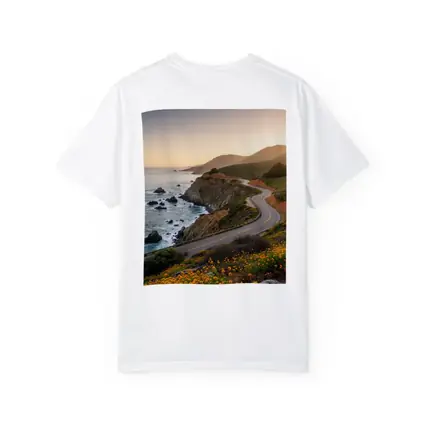 California Coastal Highway Sunset Wildflowers