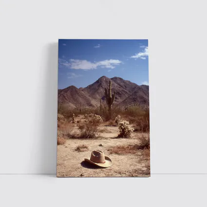 Cowboy Hat Saguaro Cactus Desert Mountain Landscape