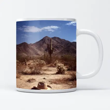 Cowboy Hat Saguaro Cactus Desert Mountain Landscape