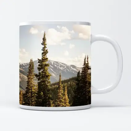 Tall Pine Trees Snow Capped Mountain Landscape